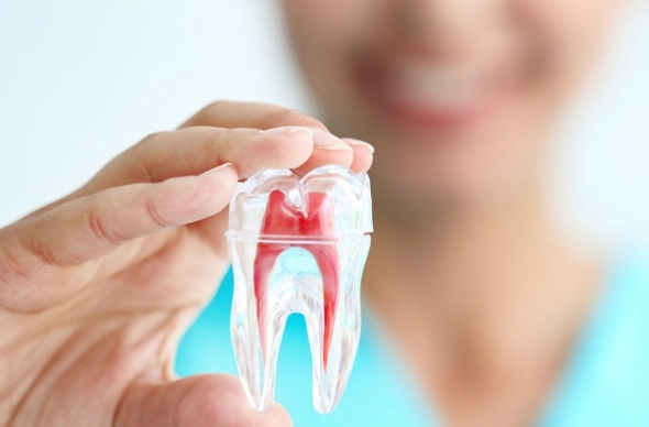 Il costo della endodonzia varia in funzione del tipo di trattamento e del dentista.